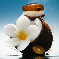 Island Swim - Travel Size Body Mist