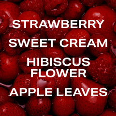 Berry Cream - Travel Size Body Mist