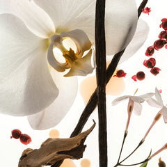 Vanilla Skin - 100mL